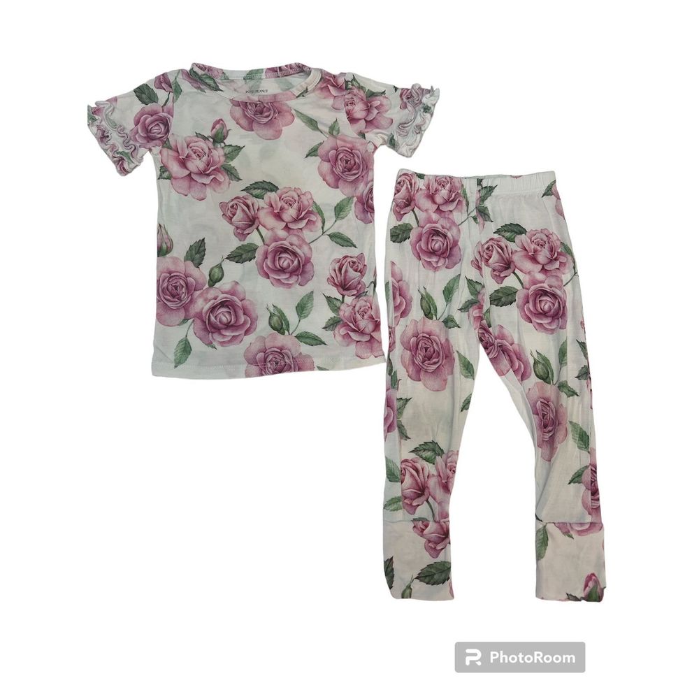 Posh Peanut Pink Roses 2 Piece Pajamas 12-18